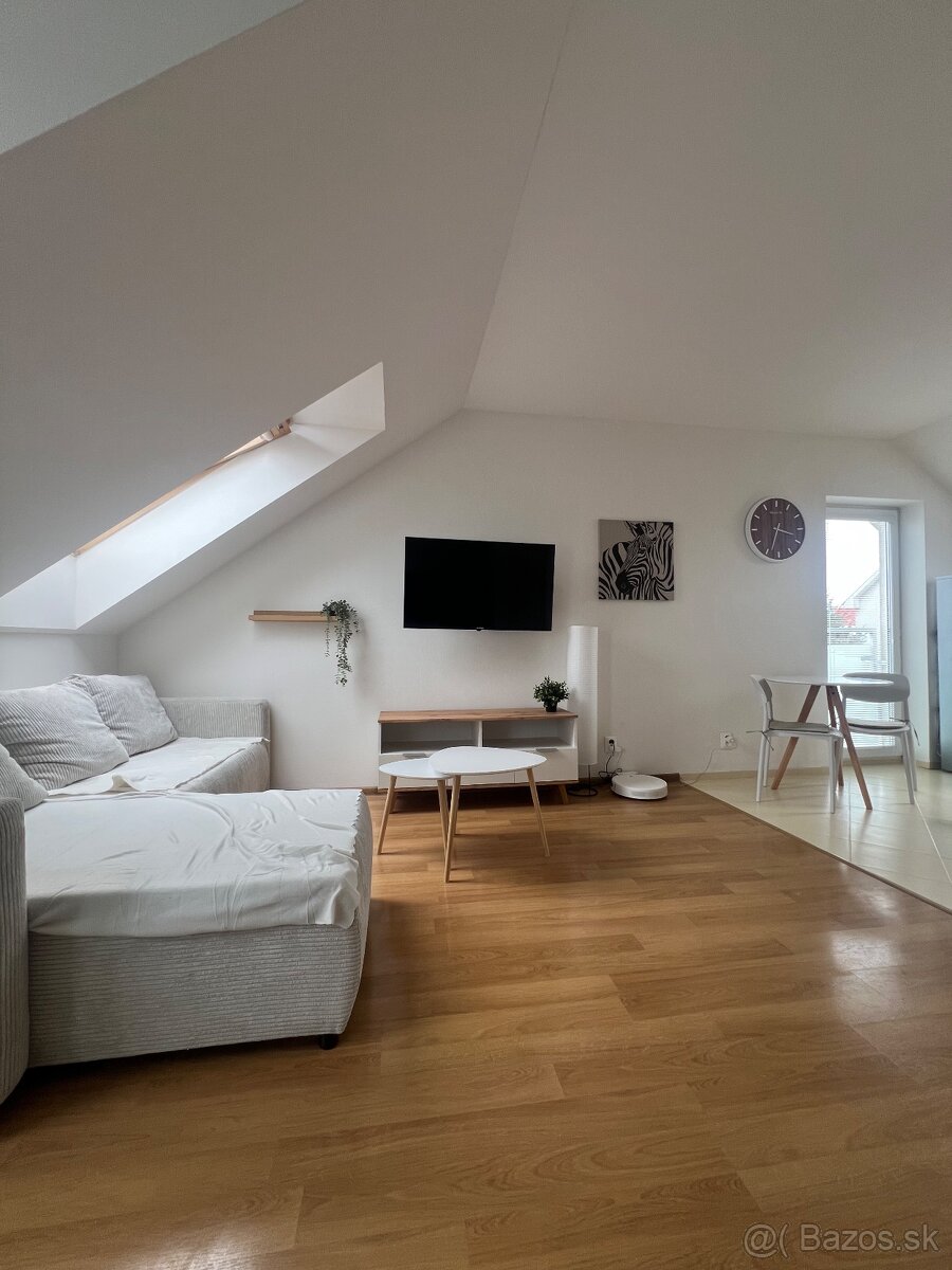 PETFRIENDLY 1-izbový byt so záhradkou (Biely Kostol)