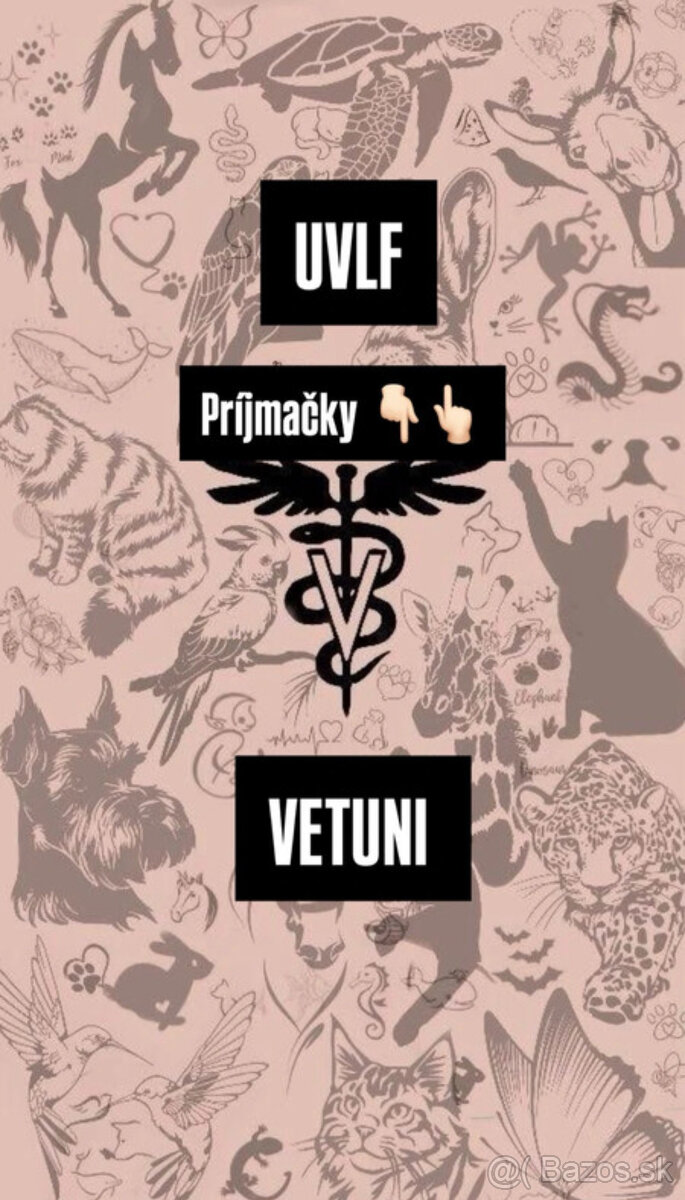 VETUNI, UVLF príjímačky
