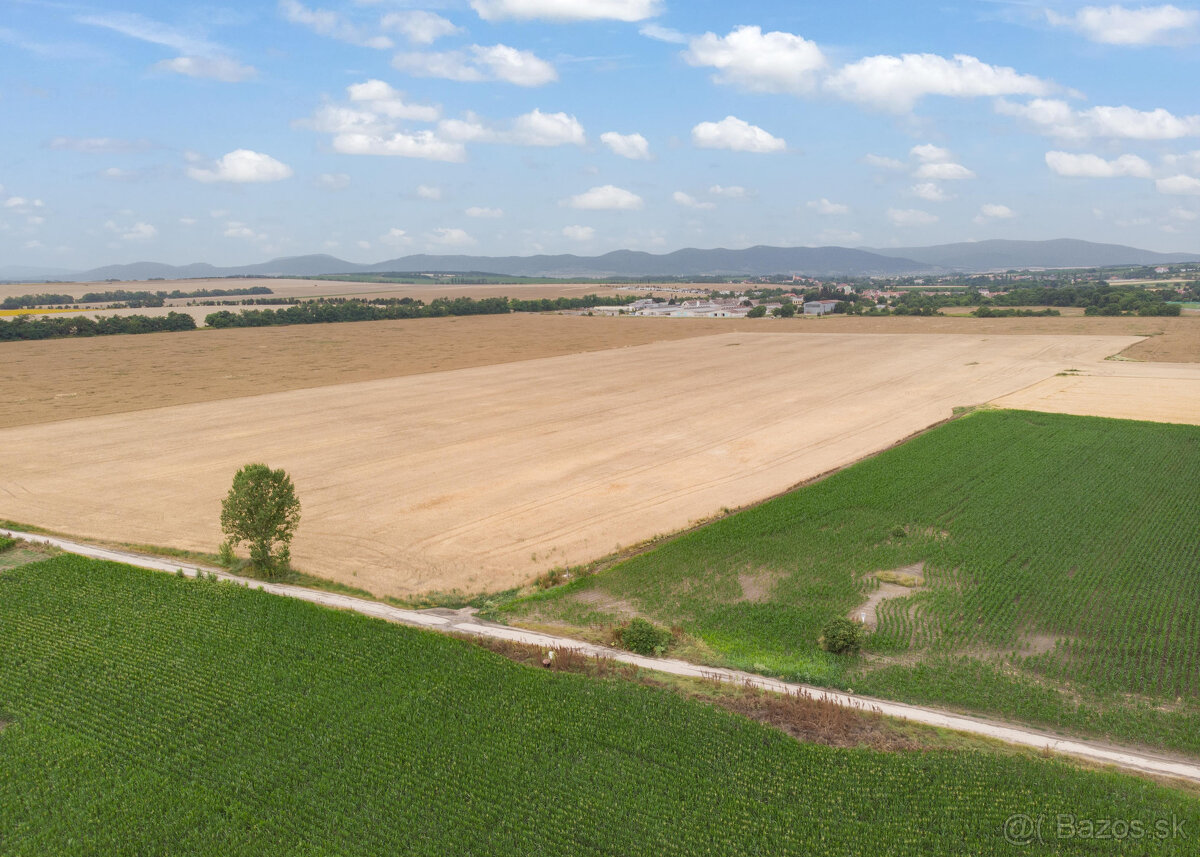 PREDAJ VEĽKÝ POZEMOK - TRNAVA - ZVONČÍN - 147.000 m²