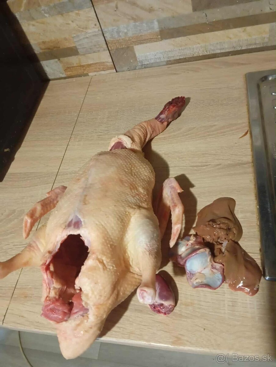 Ponúkam na predaj Očistene brojlerové kačky