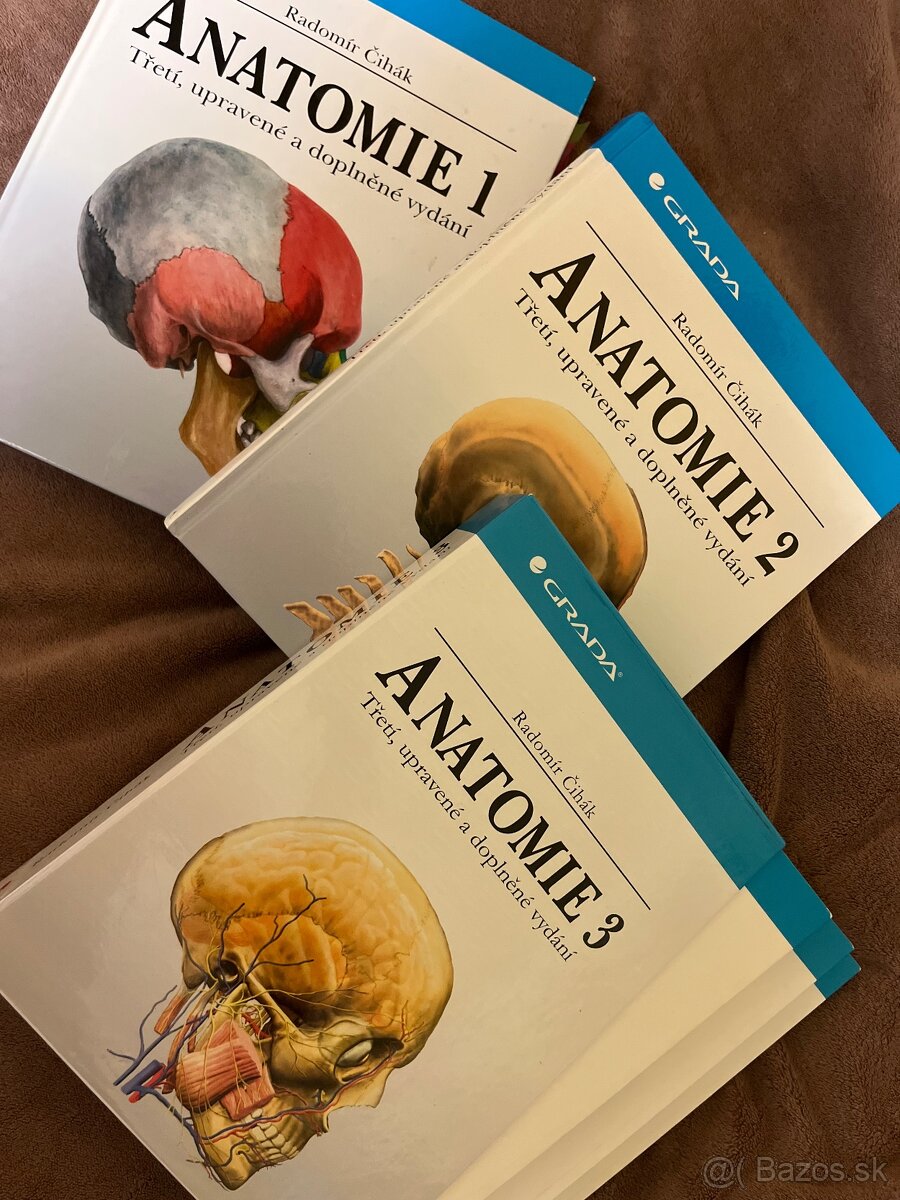 Anatomie Čihák 1,2,3
