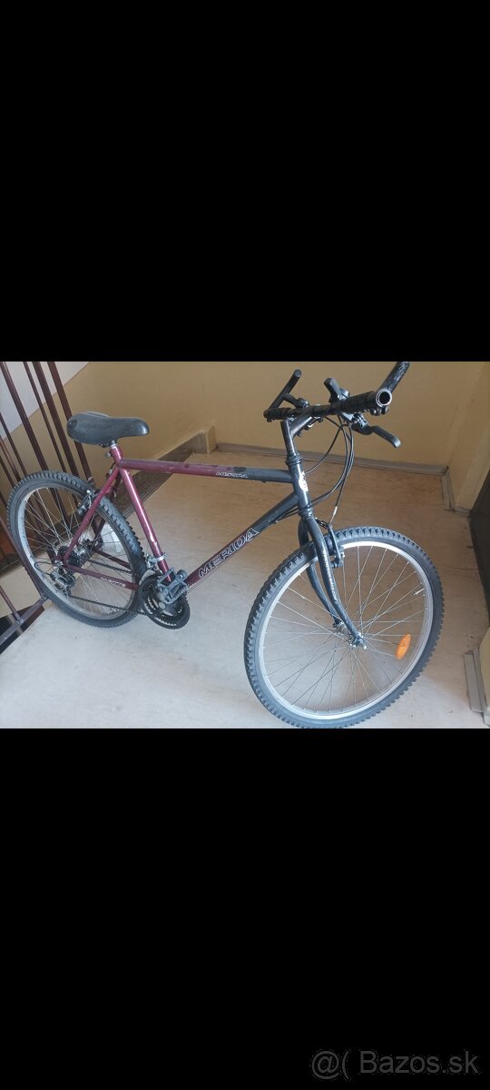 Horský bicykel