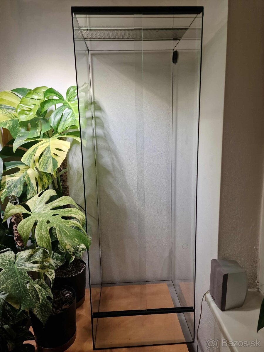 Terárium , paludárium