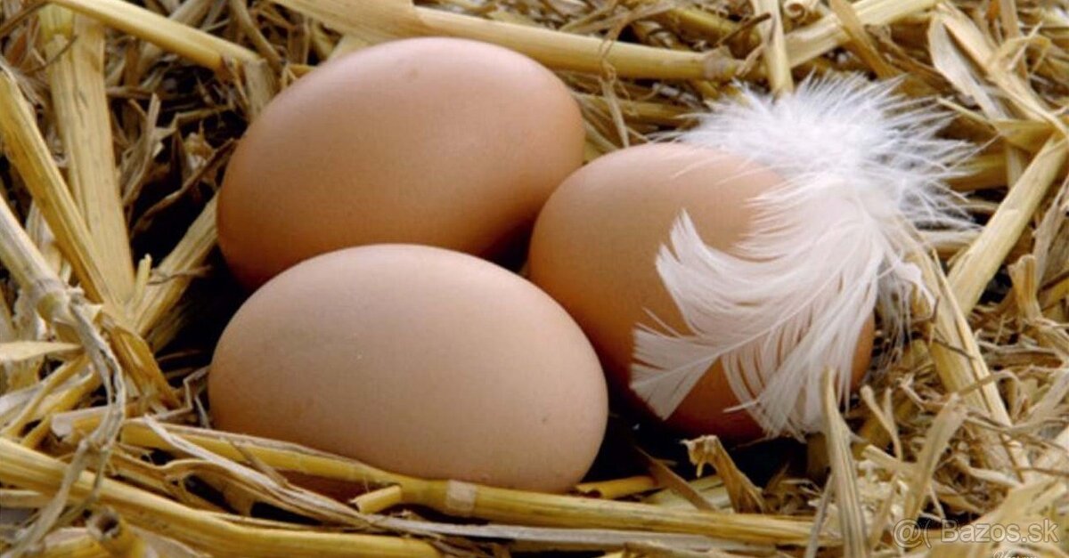 Domáce vajíčka