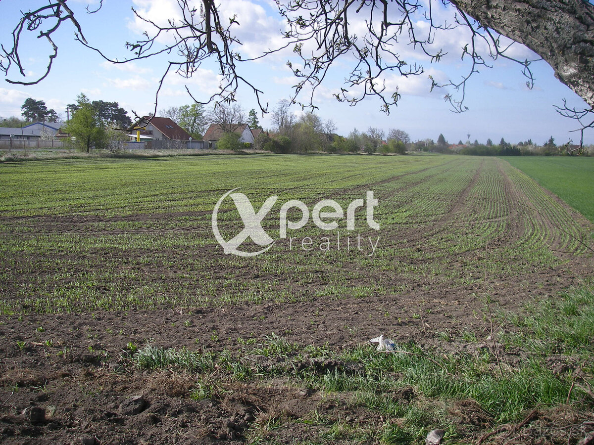 Predaj pozemok v celku Orná pôda 46.000m2 kataster Čakany ok