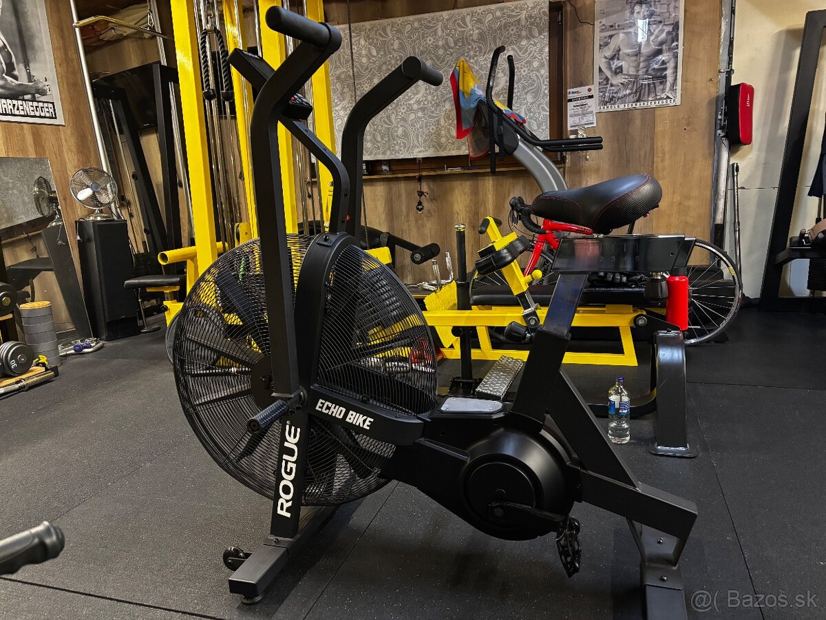 Rogue Echo bike