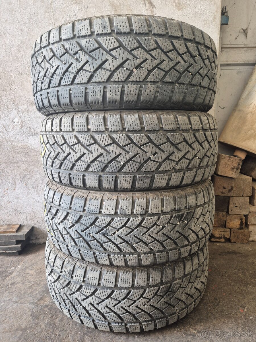 Windforce Snowblazer 205/55 R16 91H