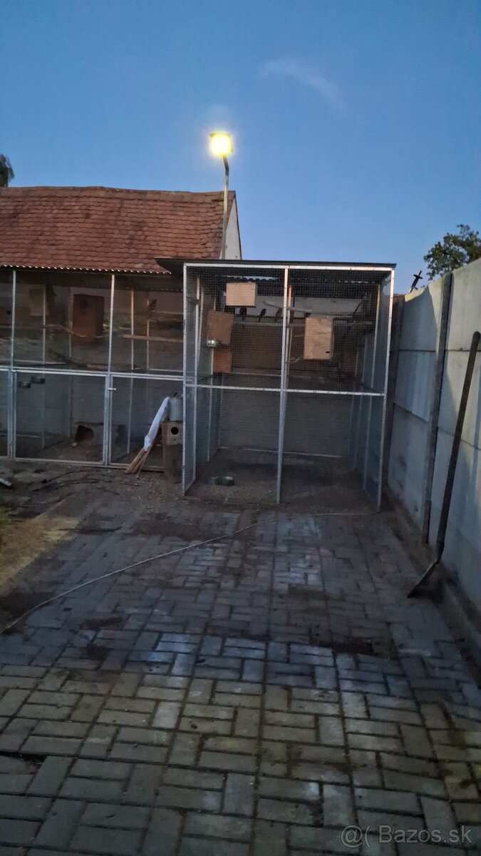 Predám posledné voliery za cenu materialu