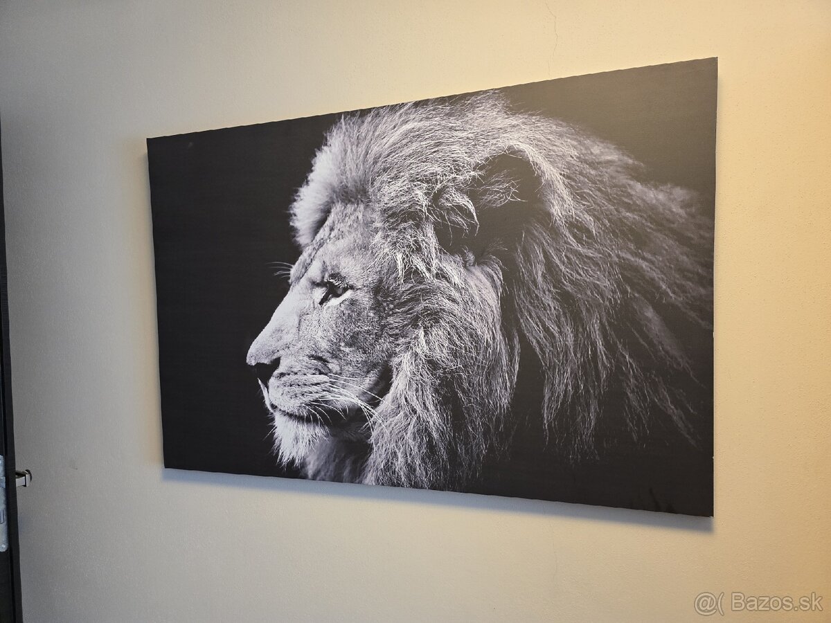 Velky obraz lev