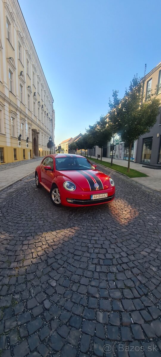 Vw beetle
