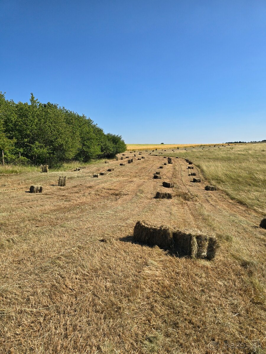 Balíky sena.