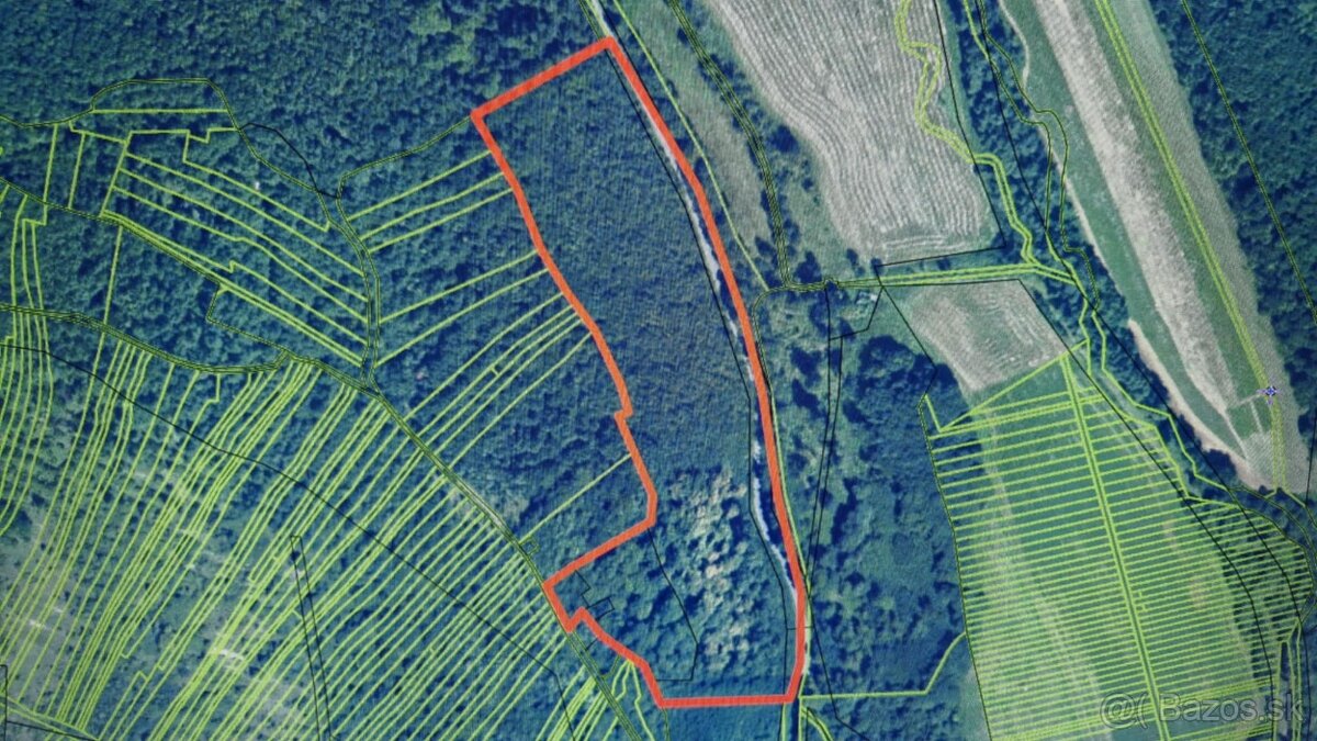 Lesný pozemok -5ha,podiel 1/1