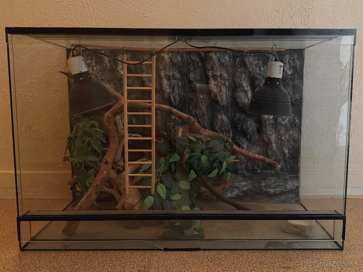 Kompletne vybavené terárium