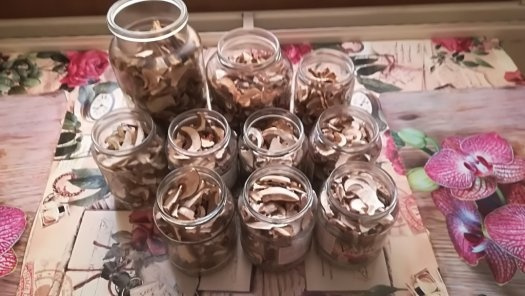 susene dubaky a suchohriby