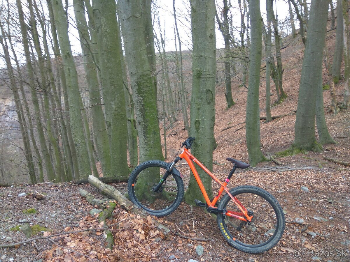 vymenim za downhill zjazdak
