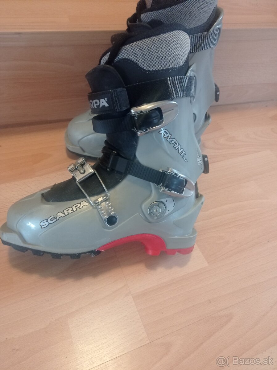Scarpa