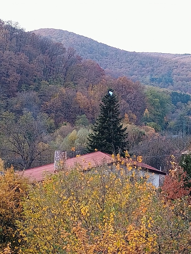 Vianočný strom.