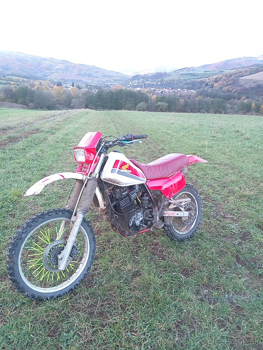 Predám