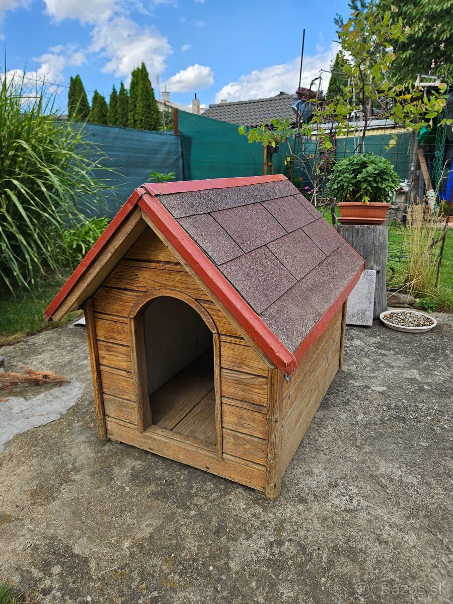 Psia búda