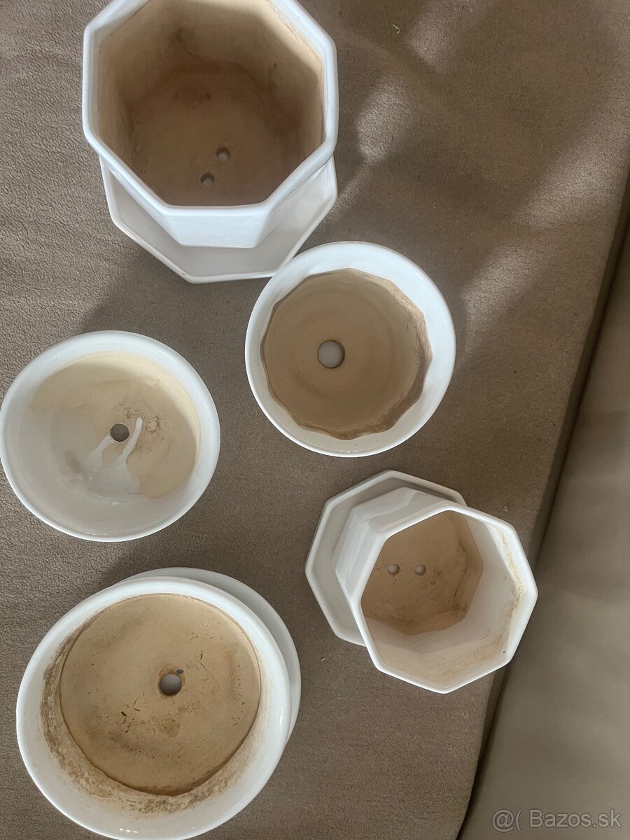 Črepniky bielej farby