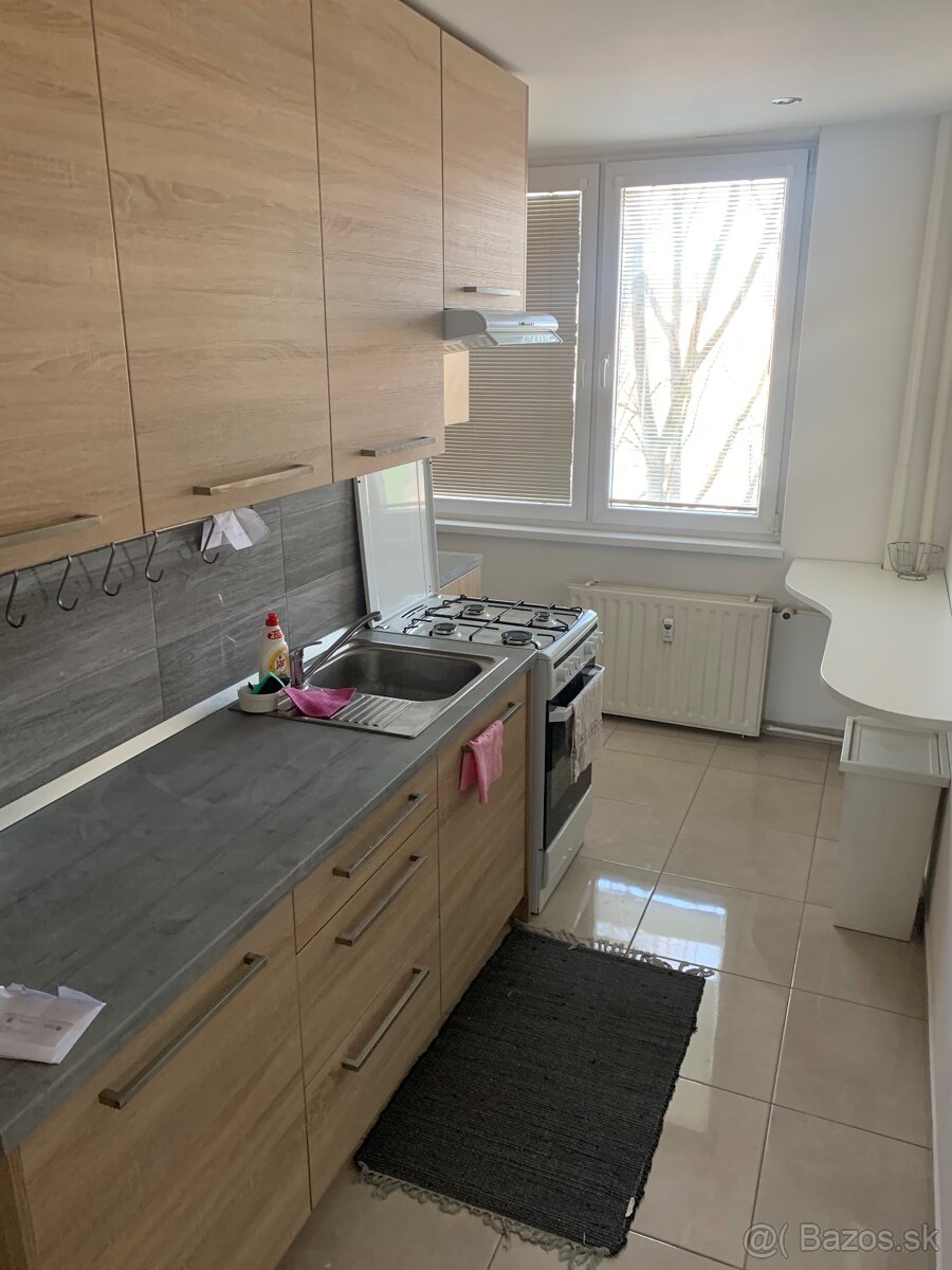 1izb byt v centre mesta na prenájom