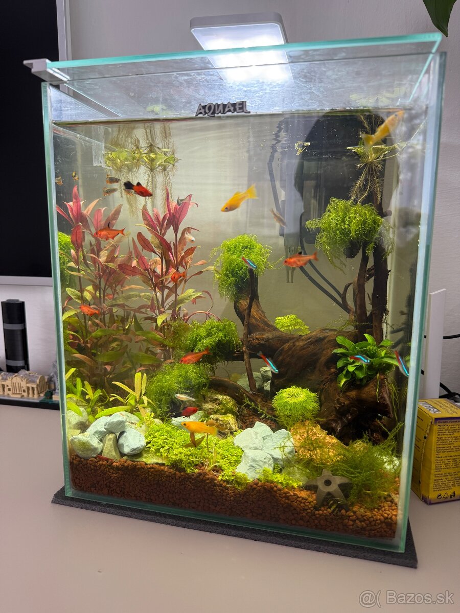 Akvárium AquaEl Cube 30l