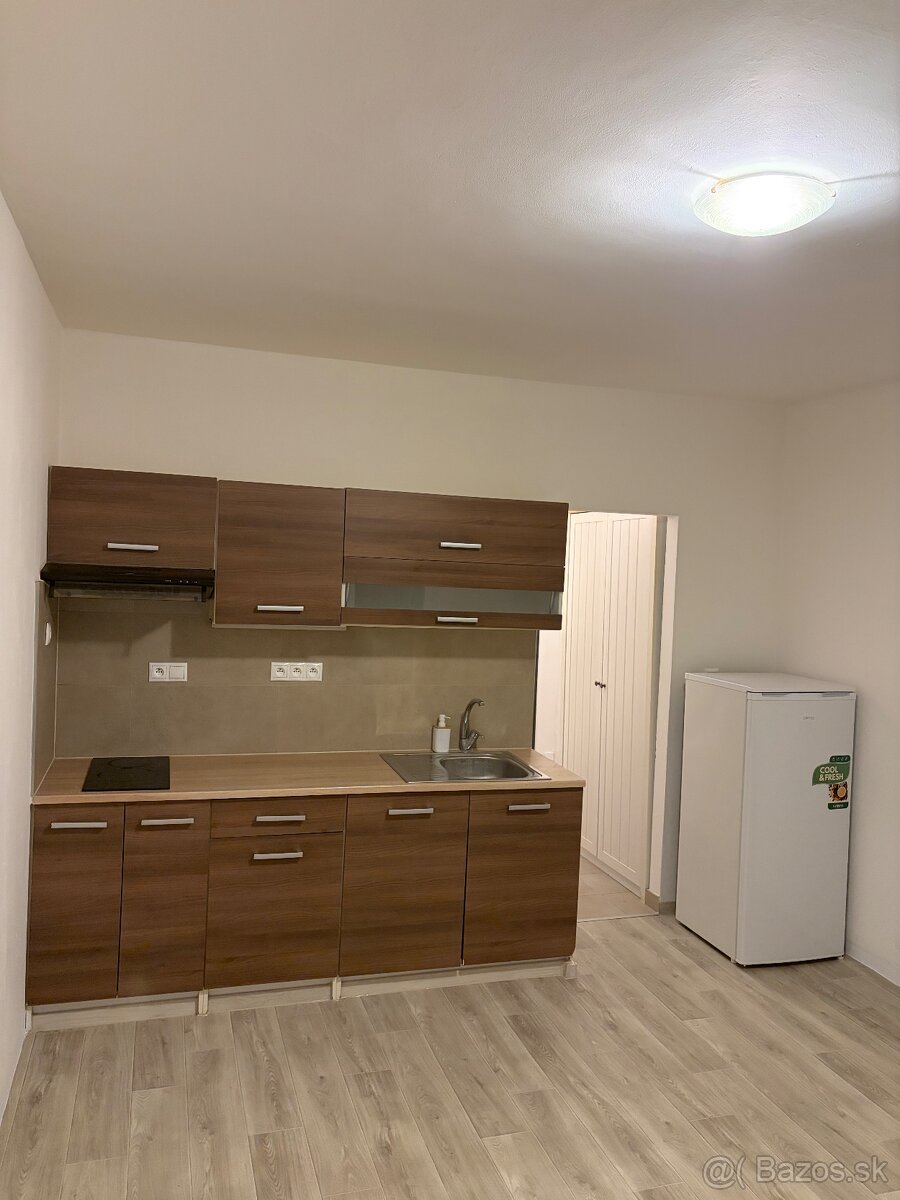 Garsonka s balkonom + pivnica