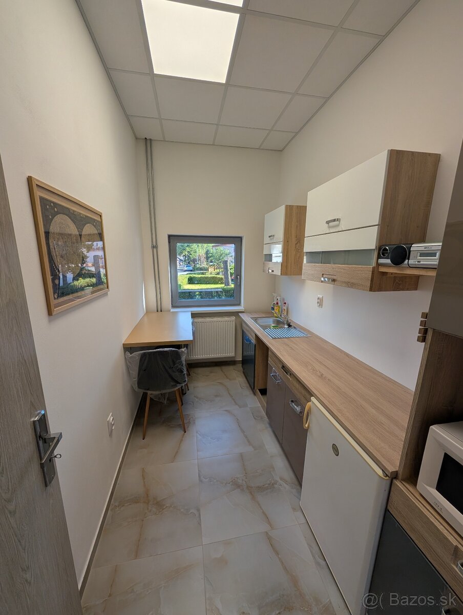 Dám do prenájmu obchodno-výrobné priestory 160 m² Malá Čausa