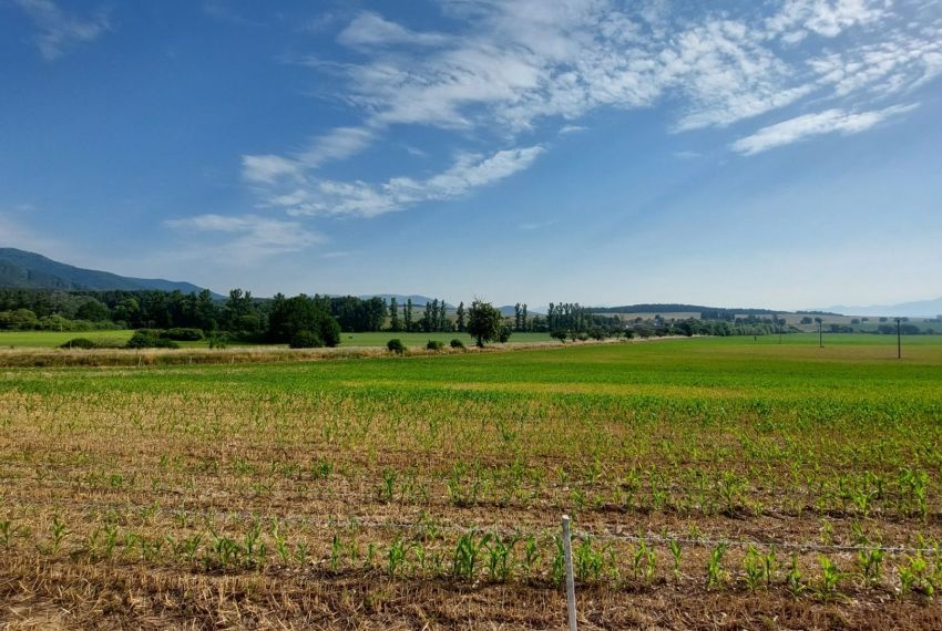 Pozemok 1500m2 v Abramovej