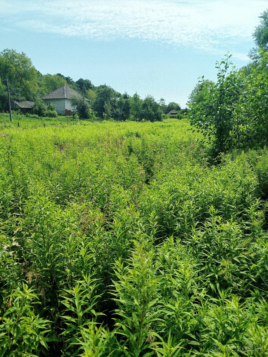 MULCOVANIE, KOSENIE, ROTAVATOROVANIE