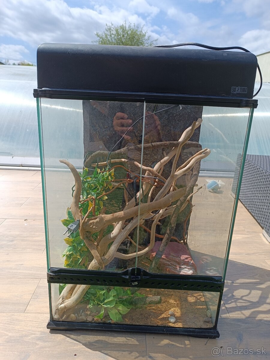 Terárium EXOTERRA