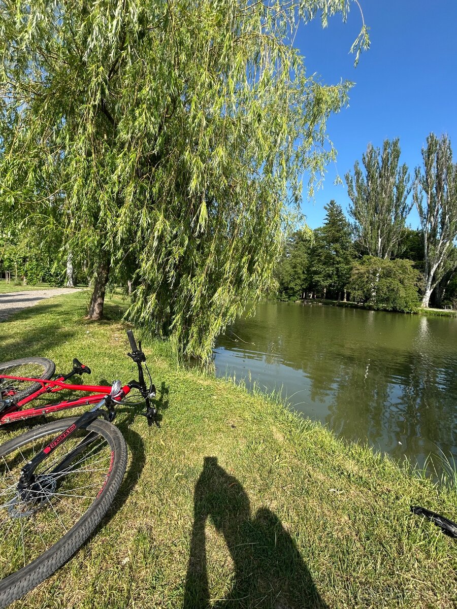 Ponúknite pozemok - vinič, záhrada, lesný pozemok