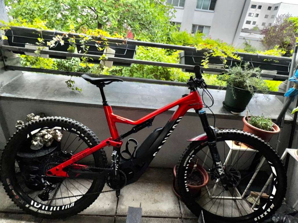 CANYON SPECTRAL ON(2020) “L”