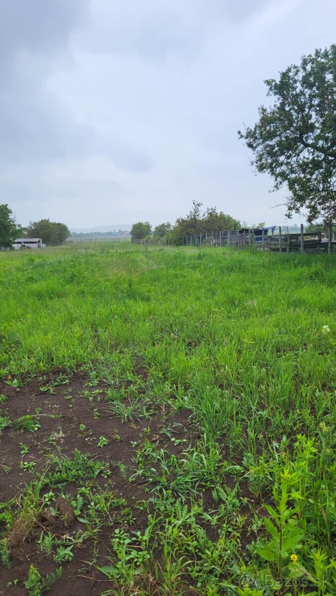 Na predaj investičný pozemok Štúrovo