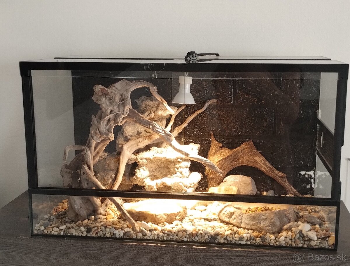 Terarium