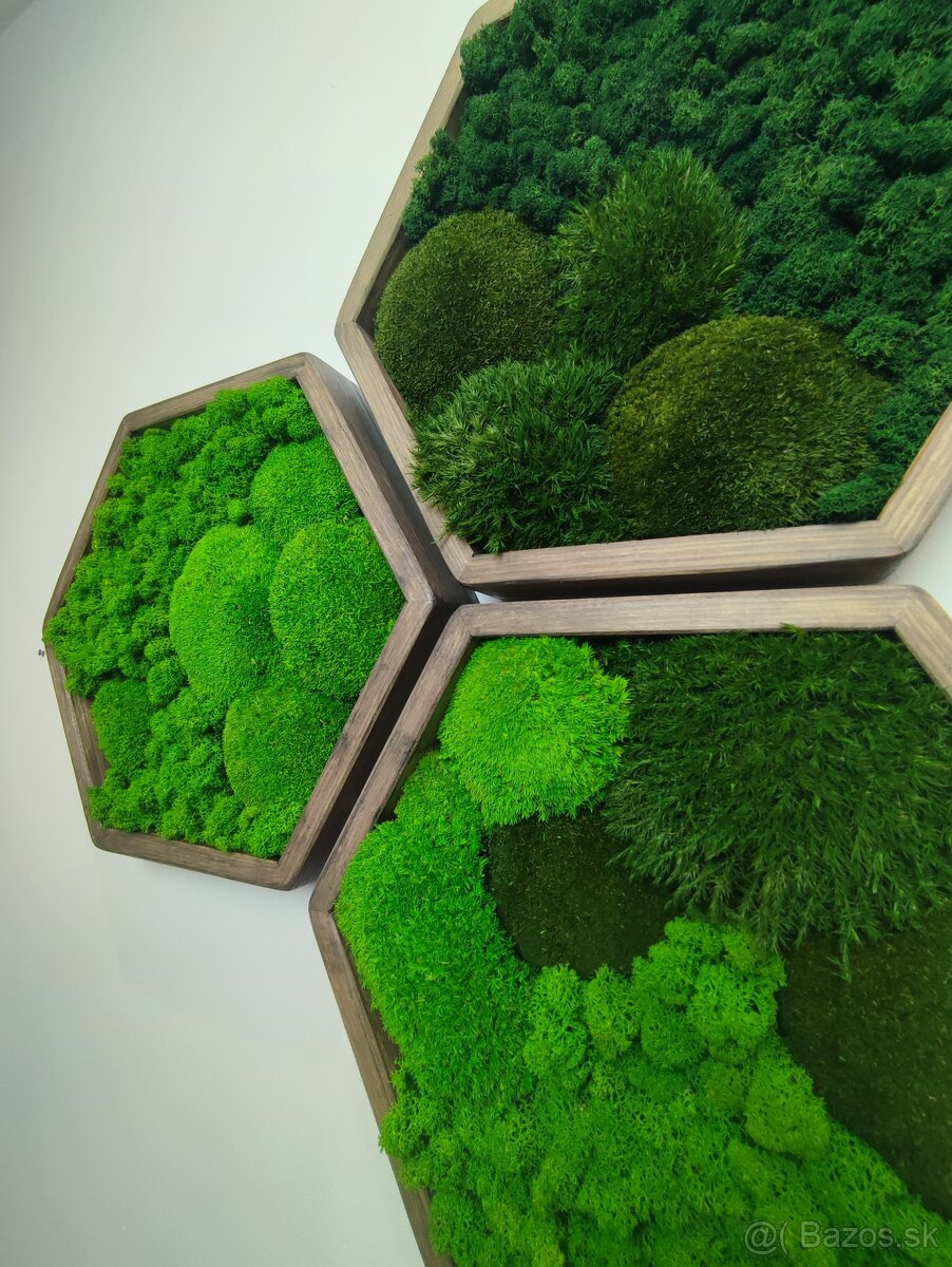 Machový obraz HEXAGON