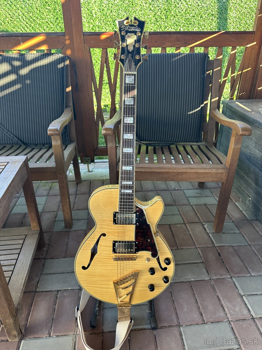 DAngelico Excel EXL SS