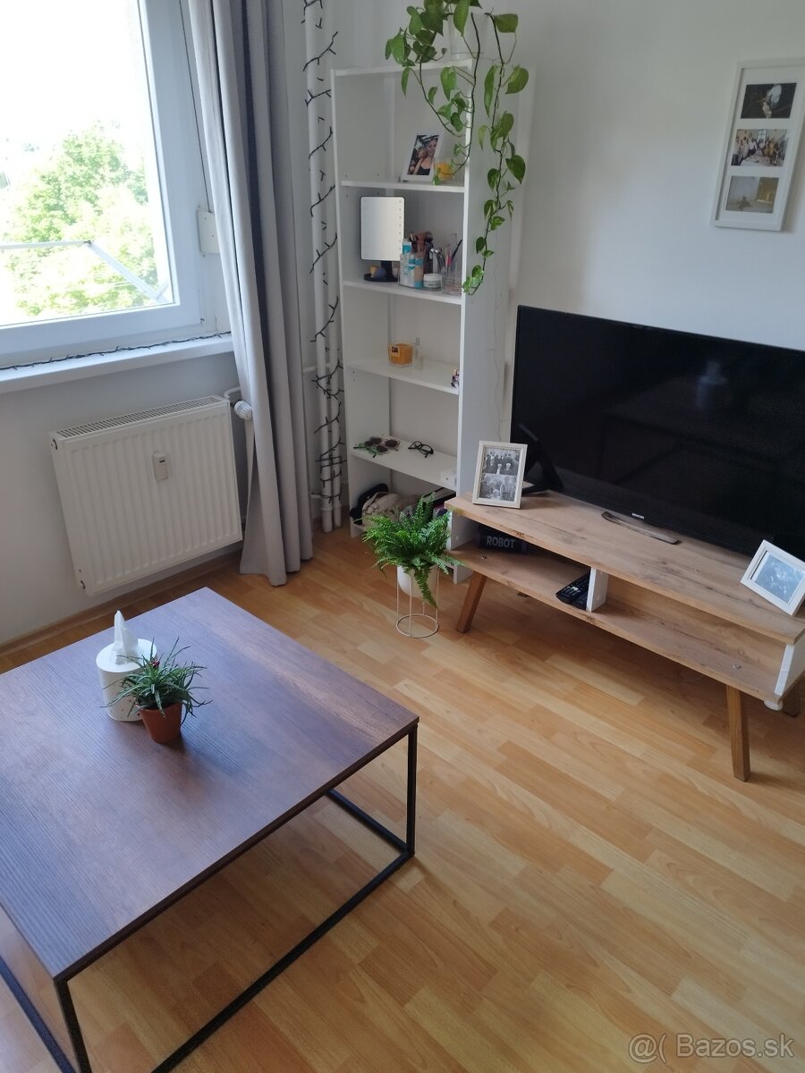 Jednoizbový byt