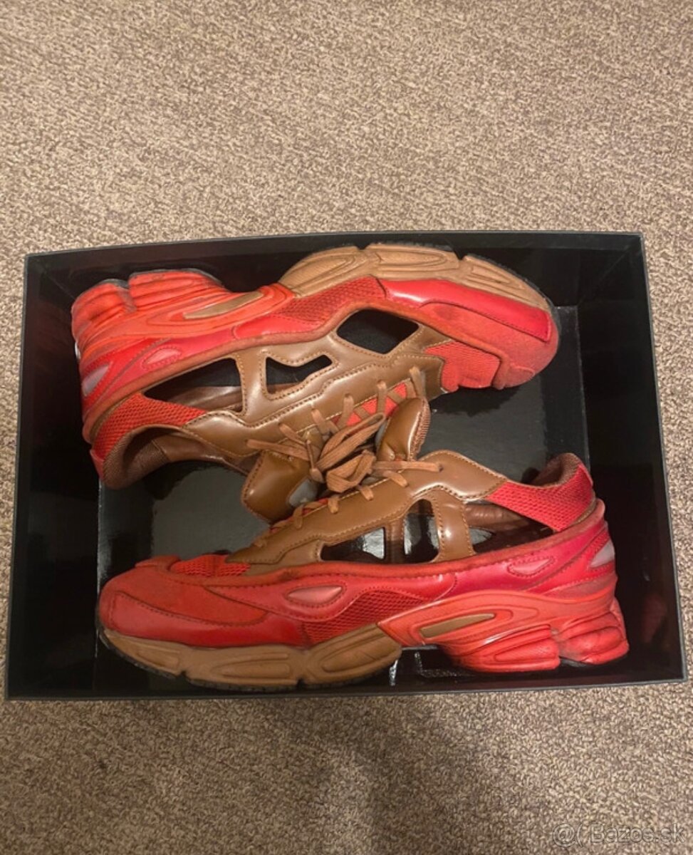 Raf simons
