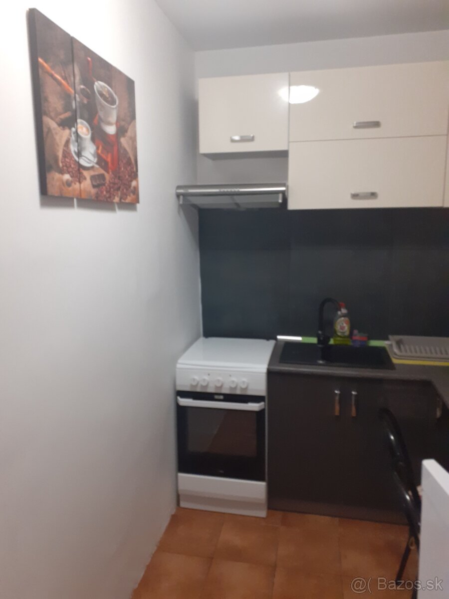 1 izbovy byt na prenajom