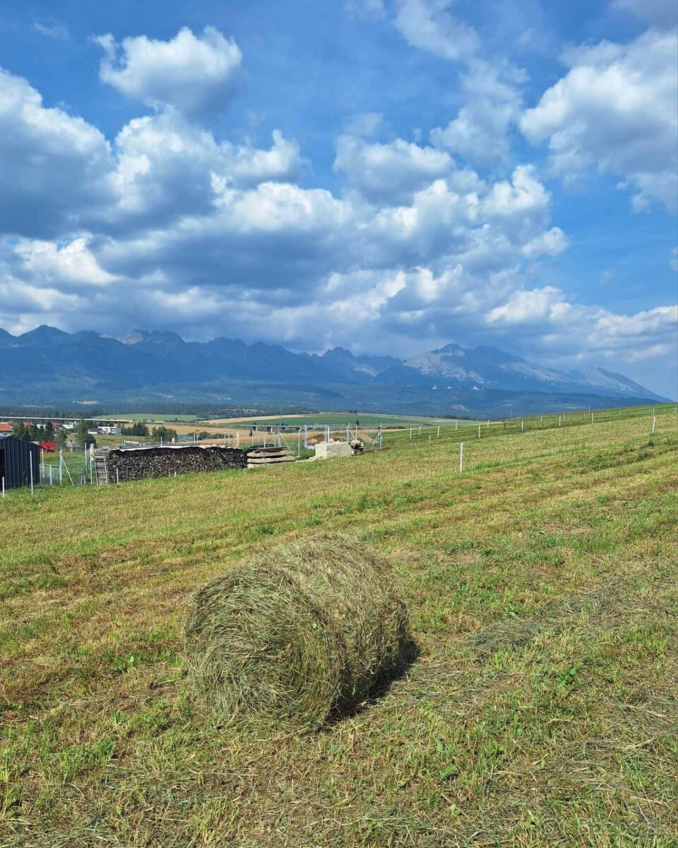 Seno, Mládza