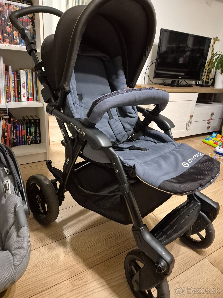 Concord fusion sportovy kocik