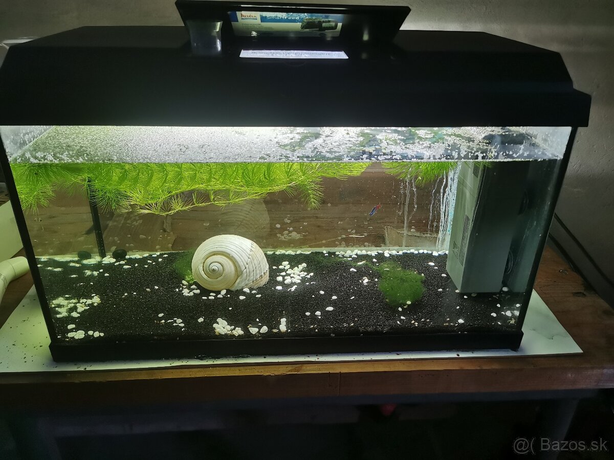 Akvárium 60L - Rezervovane do 23.7