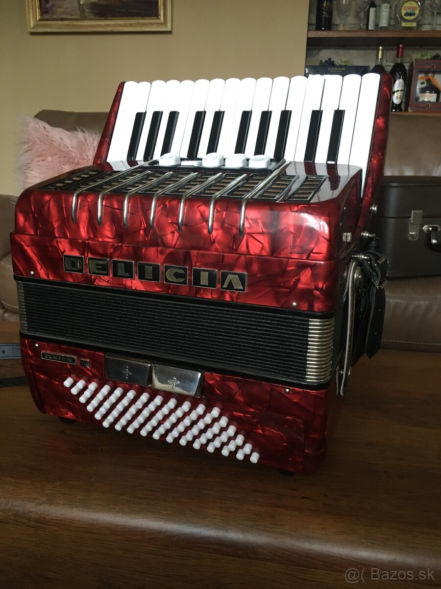 Akordeón Delicia junior 3 (harmonika)