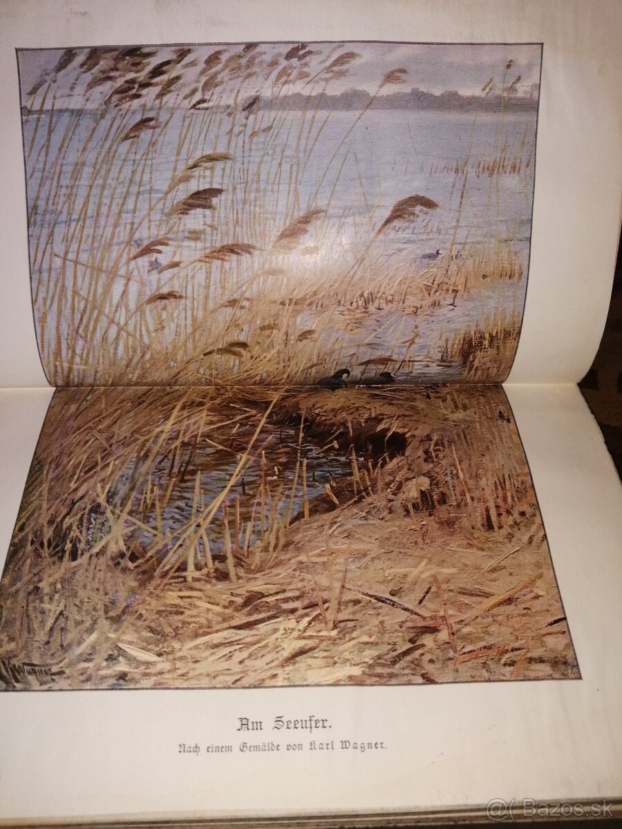 Poľovnícka kniha Venovanie autora Ornithologia 1879