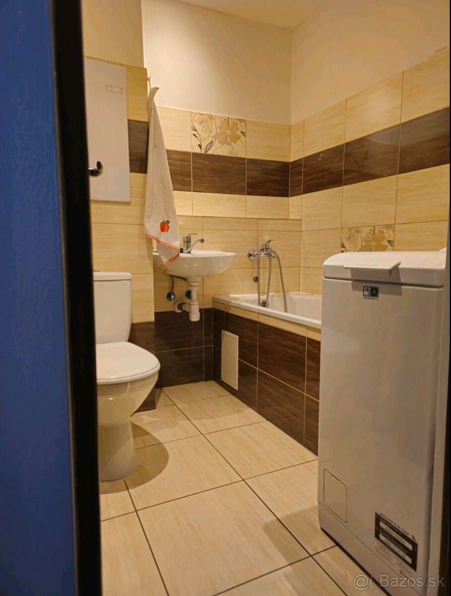 prenájom 1 izbového bytu 0907068854