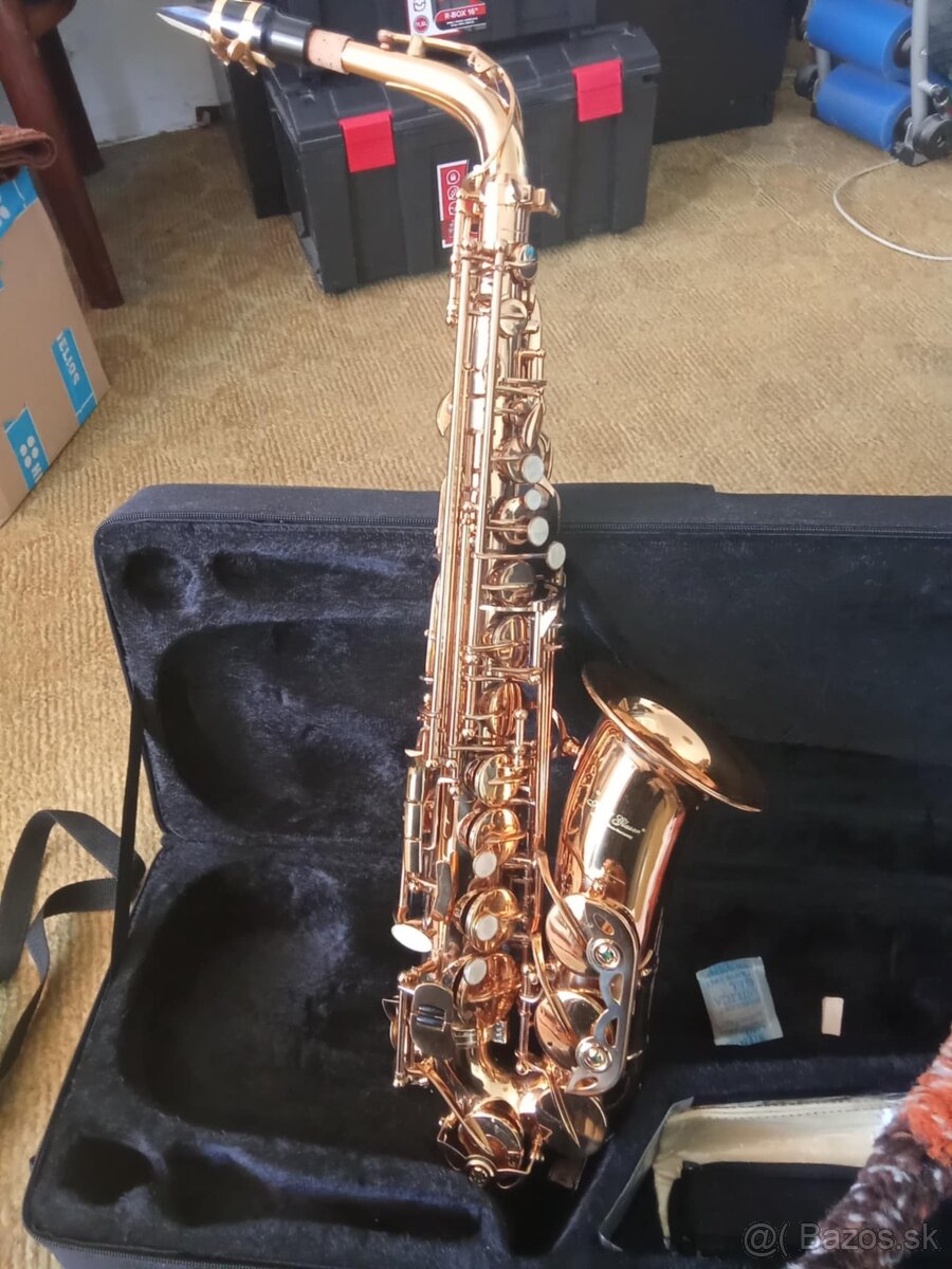 Alt Saxofón Karl Glaser - zlatolak