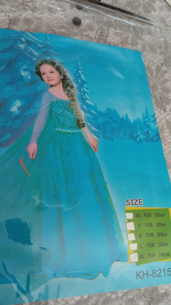 Šaty/kostým na karneval