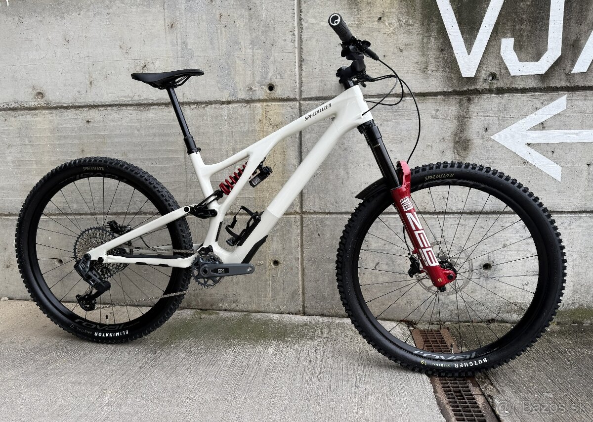 Specialized Stumpjumper EVO Expert, S5