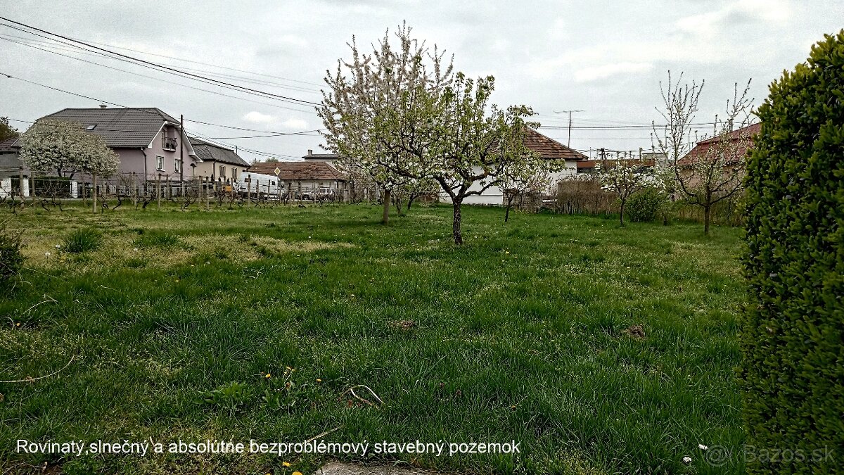 Slnečný, rovinatý a bezproblémový stavebný pozemok, Trebišov